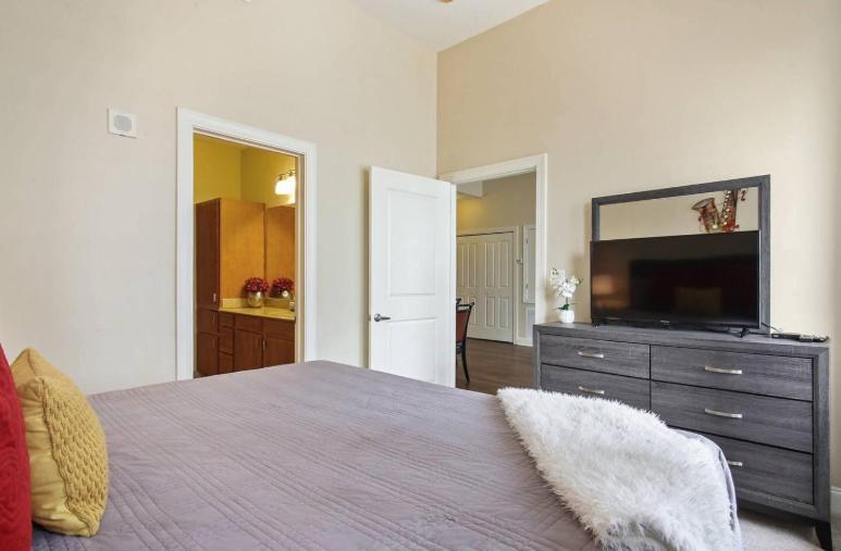 Amazing Condos Beautiful View 2 Blocks To French Quarter, Small Rooftop Pool, Gym, Seanger Theater, Super Dome, And Bourbon St New Orleans Buitenkant foto